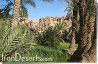 قلعه ساسانی گرمه
