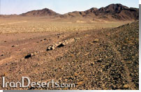 منطقه حفاظت شده بافق