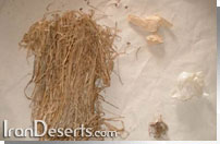 تهیه آتش به روش اصطکاکی