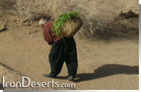 عبدالحسین تنها ساکن روستای کوره گز