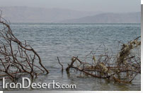 دریاچه نمک مهارلو 