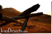 کویر مرنجاب