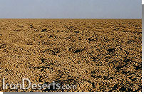 زمینهای پف کرده رسی - کویر مرکزی